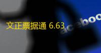 文正票据通 6.63 官方免费版