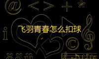 飞羽青春怎么扣球